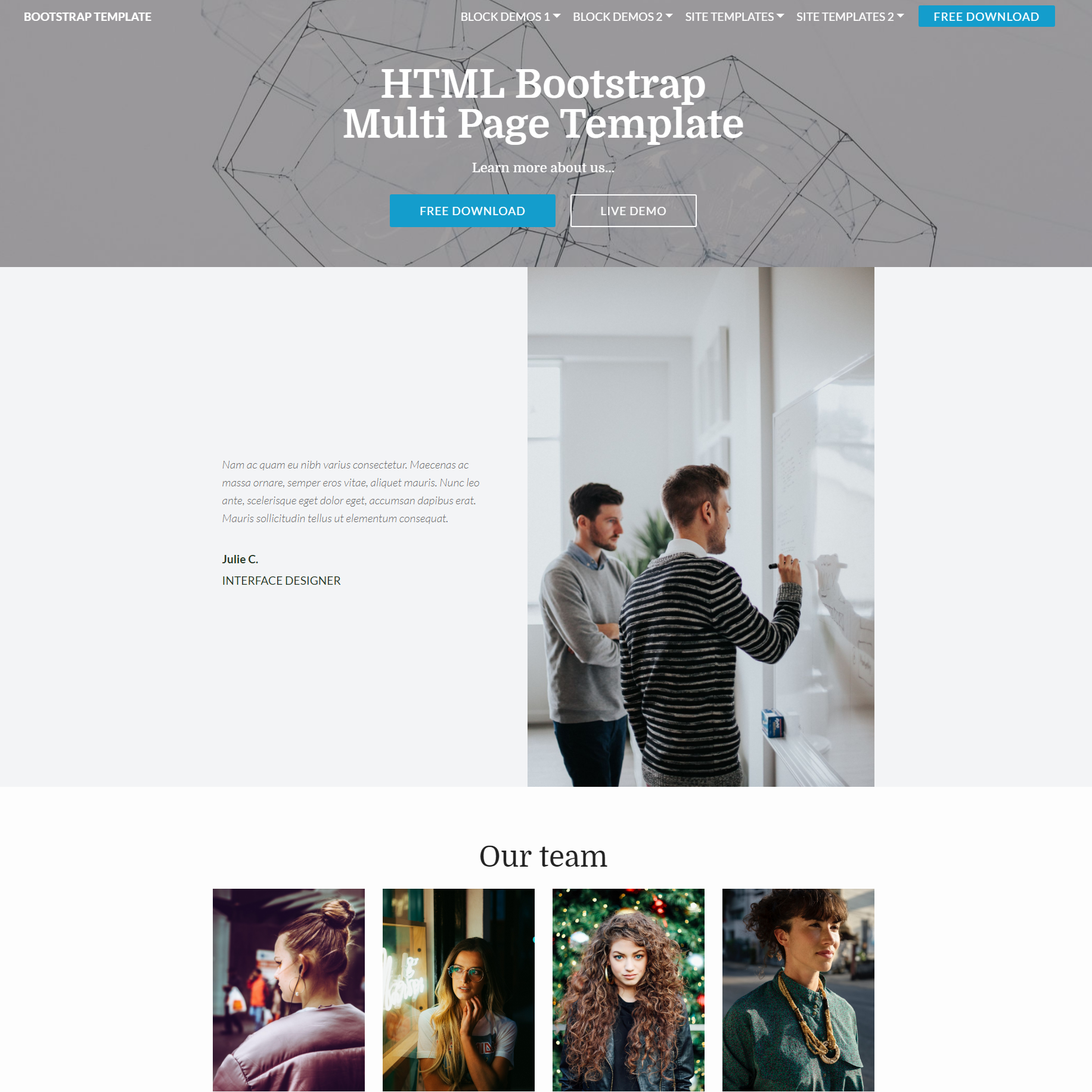 HTML5 Bootstrap Multi page Themes