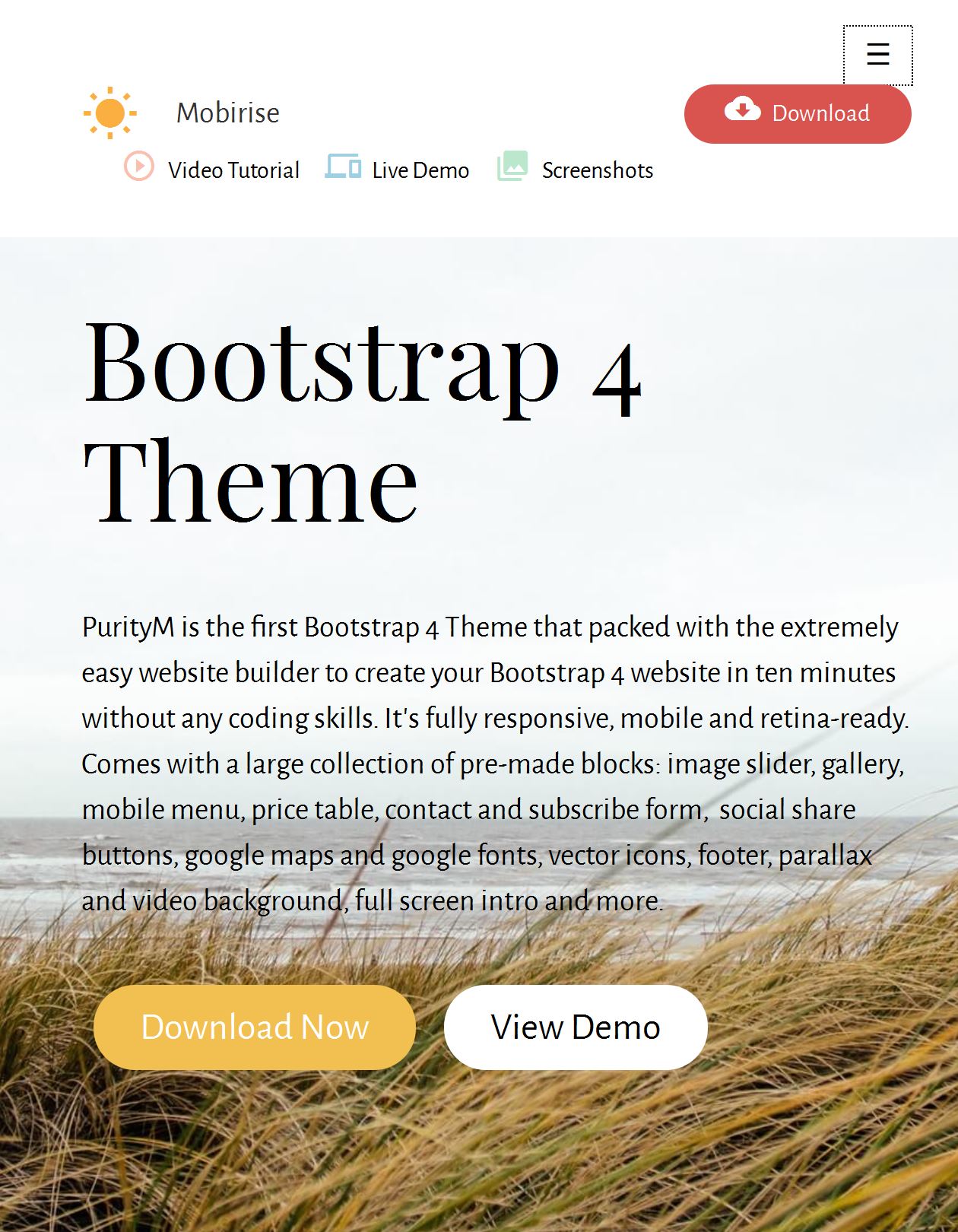 Bootstrap Footer Template